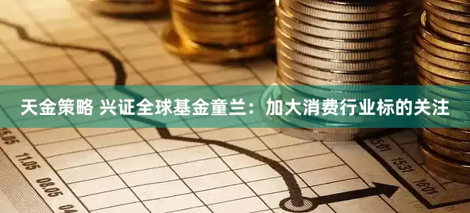 天金策略 兴证全球基金童兰：加大消费行业标的关注