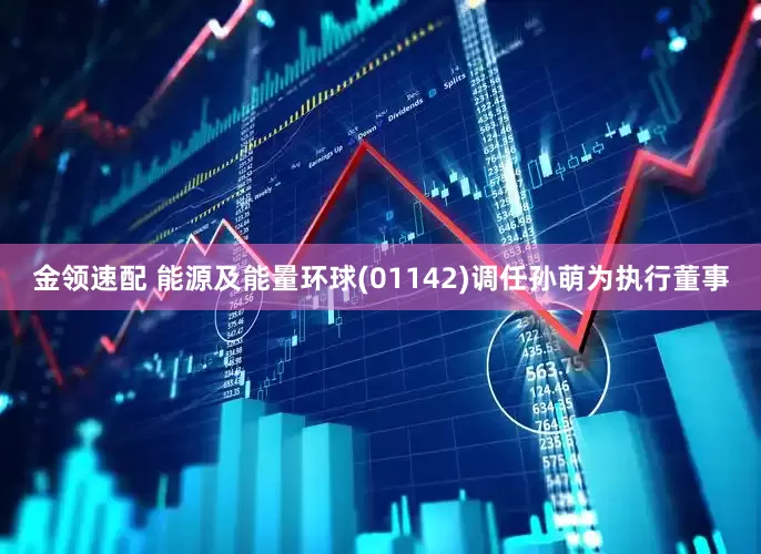 金领速配 能源及能量环球(01142)调任孙萌为执行董事