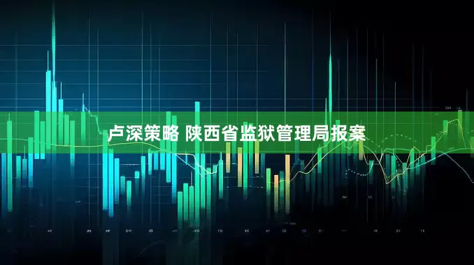 卢深策略 陕西省监狱管理局报案